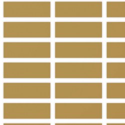 Etichette ScratchOff oro 30x10mm forma rettangolare