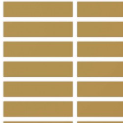 Etichette ScratchOff oro 45x10mm forma rettangolare