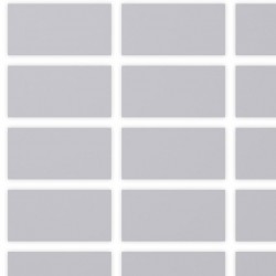 Etichette ScratchOff argento 30x15mm forma rettangolare